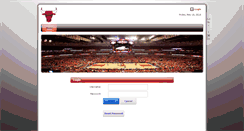 Desktop Screenshot of chi-scoutdata.com